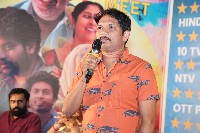 Sarangadariya Movie Success Meet